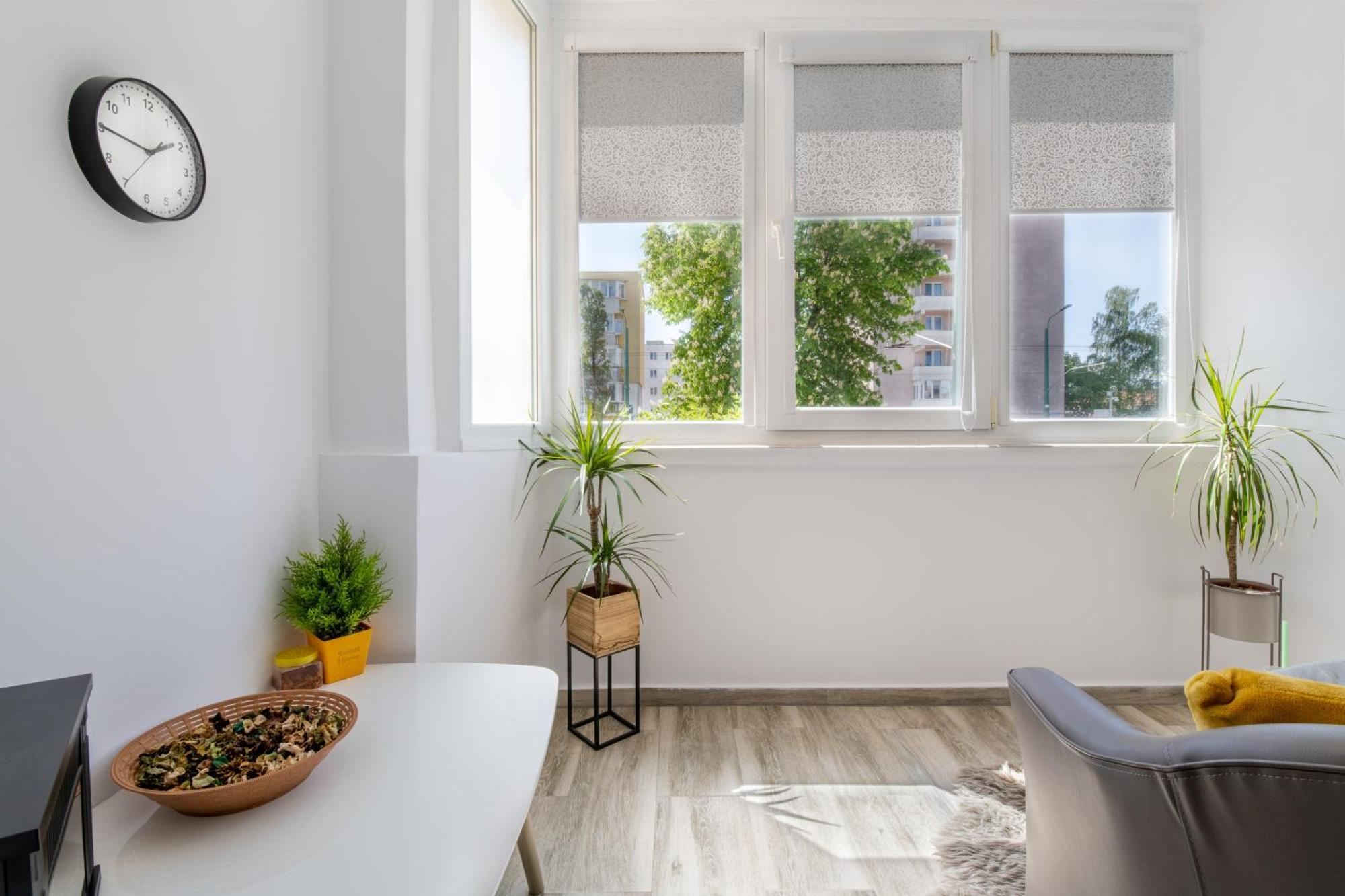 Springhome - Cozy Apartment With Balcony & Parking Μπρασόβ Εξωτερικό φωτογραφία